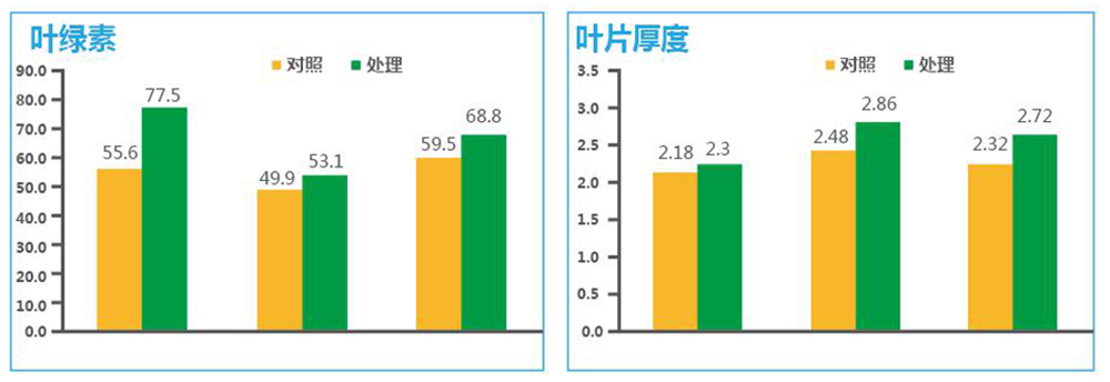 領(lǐng)先生物“海藻+氮磷鉀+腐植酸”讓果樹(shù)旺起來(lái)